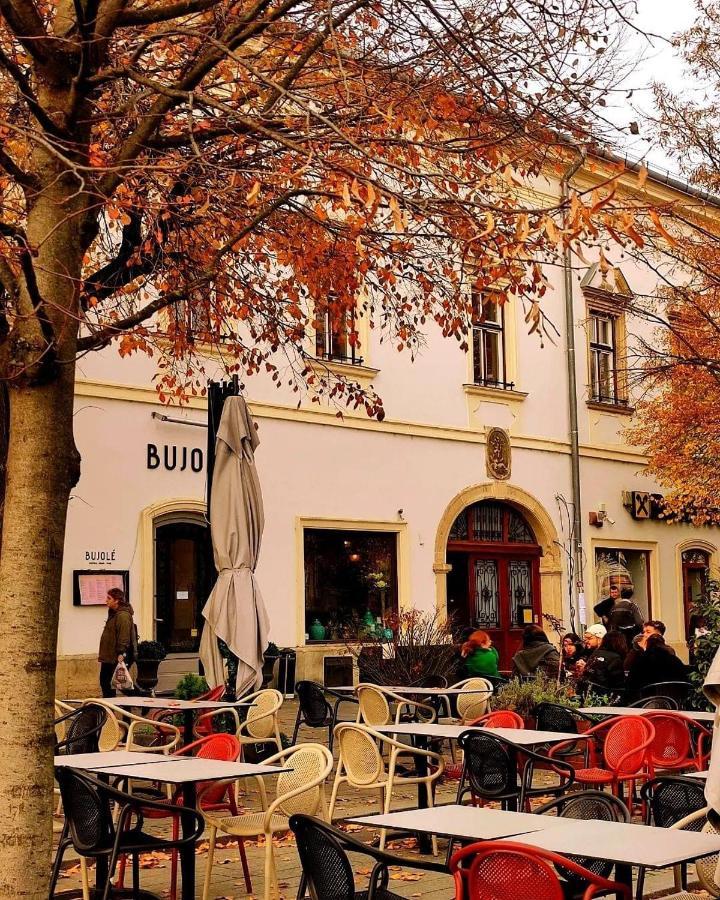 אפרטהוטל Ndl Downtown Cluj מראה חיצוני תמונה