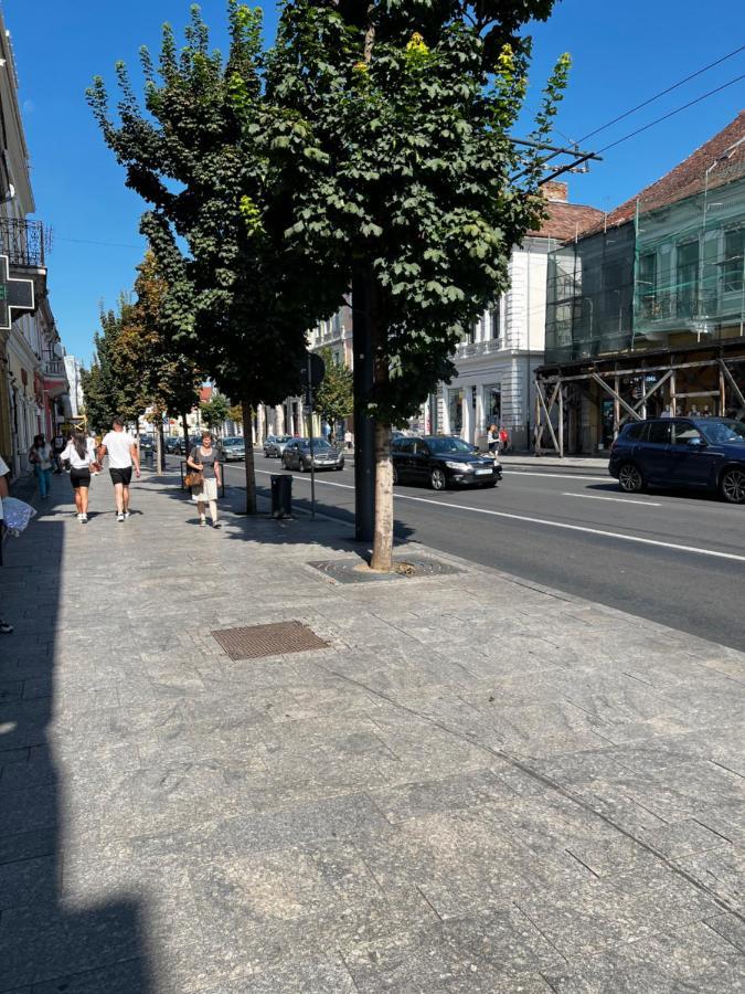 אפרטהוטל Ndl Downtown Cluj מראה חיצוני תמונה